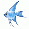 Avatar de l’usuari