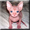 Avatar de l’usuari